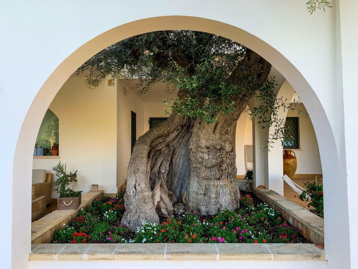 L'Ulivo Bed And Breakfast Savelletri Luaran gambar